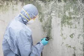 Environmental Consulting for Mold Prevention in Sun Valley, ID